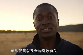 动物的超级感官：臭鼬气味臭的来源，原来是因为有硫的存在视频封面