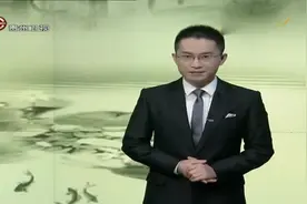 道德星空：家风不正会影响家庭及个人的发展，更会败坏社会风气视频封面