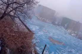 郑州下了第一场雪，赶快带着孩子出去玩，遗憾雪下得太小！