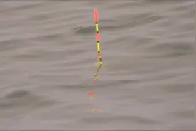 钓鱼浮漂目太细，近视眼看不见浮漂，鱼口抓不到，试试这个