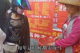 捕鱼大姐卖新鲜海马35元一只，功效作用很多，一位大姐买10只。视频封面