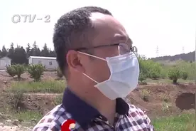 山后挖出大坑，村书记非法采石？即墨区纪委连夜介入：已立案！视频封面