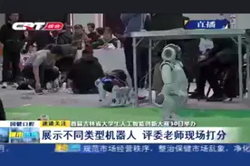 首届吉林省大学生人工智能创新大赛30日举办，参赛学生逾千人视频封面
