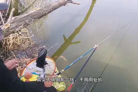 西安本地20元钓鱼一天的黑坑，鱼可以带走，小伙第一次去收获颇丰