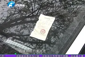 人在车中坐交警来贴条，司机：我感觉这样做不合理视频封面