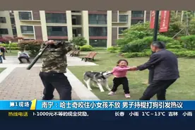 南宁：哈士奇咬住女孩不放，男子持棍打狗惹争议，狗主人不见踪影视频封面