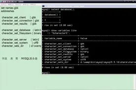 7_MYSQL视频教程 字符集操作原理与乱码解决方案视频封面