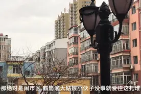 东北这座城市鸟语花香 未来“雪乡”最低2万一套房 60万想住别墅