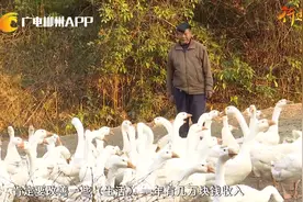 【关注三农】湖南安仁赤滩村：科技撬动产业零突破视频封面