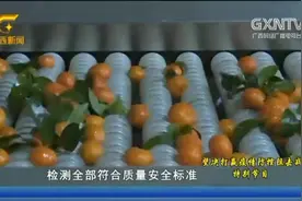 荔浦：果农为疫情伸出援手，10吨砂糖桔发往武汉视频封面