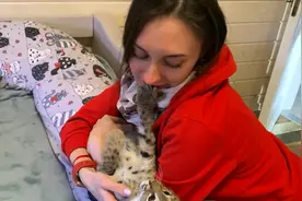主人强行亲吻猫咪，猫咪用爪子堵住她的嘴视频封面