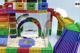 创意制作-磁力珠做小仓鼠乐园视频封面