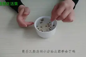 大蒜花椒蜂蜜泡水喝，这个作用真棒，可惜知道的人不多，回家试试视频封面