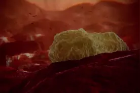 动画模拟，人体与流感的战争，鼻涕原来是白细胞壮烈牺牲后的遗体