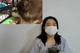 毫无养狗经验，第一次养狗就想养大型犬？朋友，拜托你清醒一点