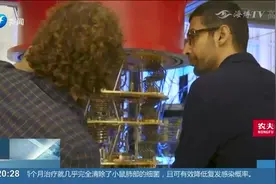 字母表公司两位创始人卸任，谷歌CEO“接手”视频封面