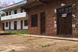 少年12岁父母双亡，狠心大伯不管他靠好心邻居养大，现在回来报恩视频封面
