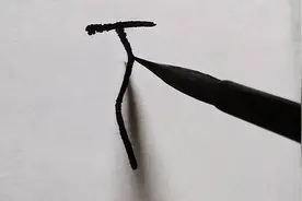 “不”字的起源，一只小鸟飞上天？古人甲骨文的想象力太丰富了视频封面