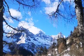 进入毕棚沟，海拔越来越高，有高反吗？听开观光车帅哥咋说，视频封面