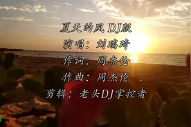 刘瑞琦《夏天的风》DJ版，你也是有腼腆的时候的视频封面