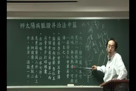 倪海厦讲伤寒之感冒汗出而喘无大热-麻杏甘石汤