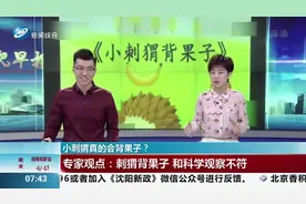 被课本骗了好多年！刺猬把水果扎刺上背回家，那怎么拿下来呢?视频封面