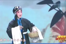 秦腔《王宝钏》选段 名家窦凤琴等10位秦腔旦角演员演唱 真精彩视频封面