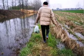 来安徽阜阳丈母娘家，他们带我野外抓鱼，好多大草鱼，太好玩了视频封面