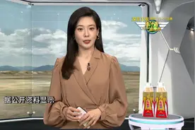 波斯湾水浅 伊朗只能发展小型潜艇