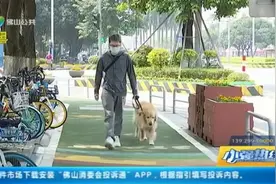 新规进行时：《佛山市养犬管理条例》即将实施 规范养犬有法可依视频封面