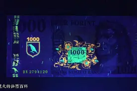 把几十张钞票放在紫外灯下，荧光效果可真漂亮视频封面