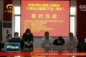 广西首例无主矿产品拍卖在北海铁山港区成功举行视频封面