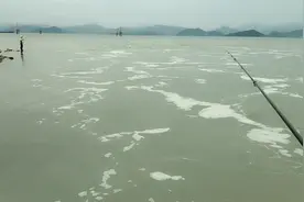 宁波象山休渔期想吃鲜鱼怎么办？小伙海边一会钓了2盆过瘾又美味