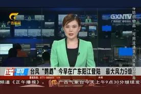 台风“鹦鹉”14日早在广东阳江登陆 最大风力9级