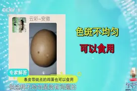 生活圈：鸡蛋外表带斑点，这是什么原因所致？专家解答，来了解下视频封面