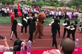 运动会最潮的班级，玩具熊跳《野狼disco》，也太可爱了吧视频封面
