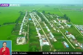 最新!哈尔滨市依兰、巴彦、木兰、通河4县入围国家重点生态功能区视频封面
