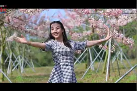 樱花烂漫，就在儋州！来吧，你会陶醉在这片“花海”！视频封面