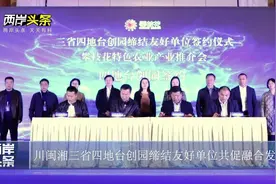 川闽湘三省四地台创园缔结友好单位共促融合发展视频封面