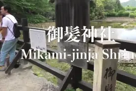 京都的御发神社，日本治秃头的神社，拜一拜不再掉发视频封面