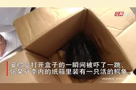 带着宠物去读书 大学生带鳄龟坐高铁被拦视频封面