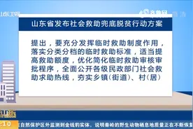最新！山东发布社会救助兜底脱贫行动方案，动态调整农村低保标准视频封面