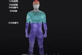 人体科普： 身体是由什么构成的视频封面
