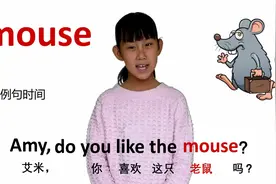 动物篇mouse老鼠 牛津初高中小学少儿童英语单词和例句子 常荣视频封面