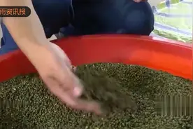 中欧班列，国内商品出口利润有多大，让大家都不愿意透露的秘密视频封面