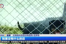 昆明重点区域禁养烈性犬  “铲屎官”的爱犬该何去何从？视频封面
