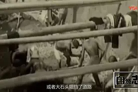 为何北京地铁深夜11点一定要关闭呢视频封面
