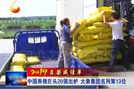 中国养猪巨头20强出炉 山西大象集团名列第13位视频封面