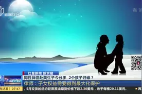女子与同性伴侣赴美结婚双双生子，如今回国分手，2个孩子归谁？视频封面
