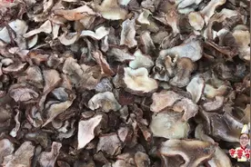 农村老曹挖一背篓洋姜，拿回家晒成干，留到过年炖肉吃